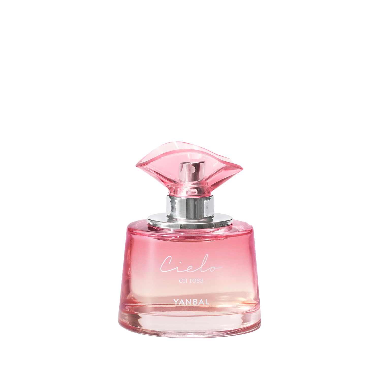 Cielo en Rosa